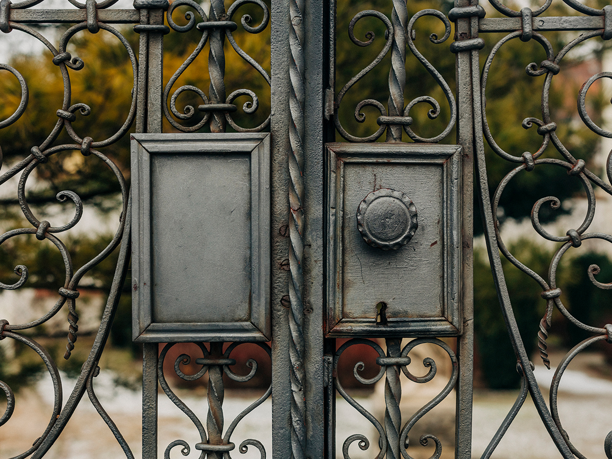 Reja o puerta de hierro forjado